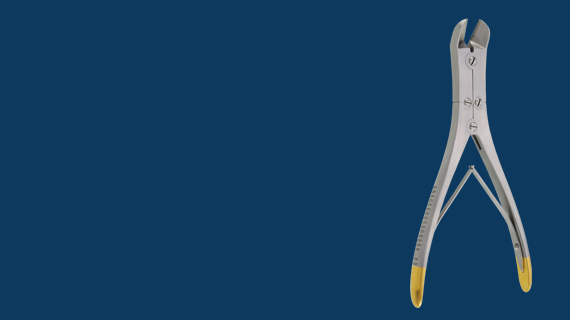 banner1