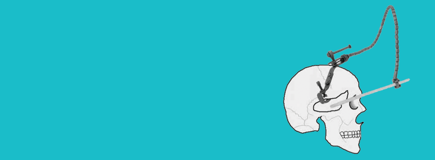 banner1