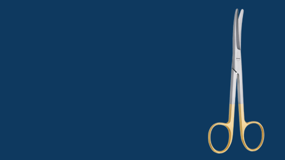 banner1